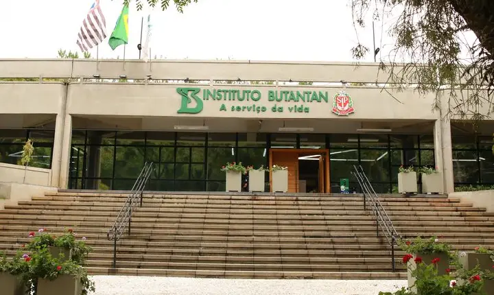 Covid-19: Butantan identifica nova variante recombinante em São Paulo