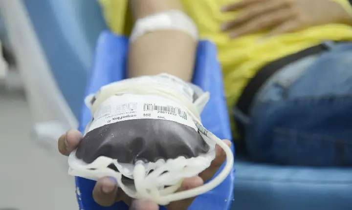 Doação de sangue: espera para quem fez tatuagem e piercing será menor