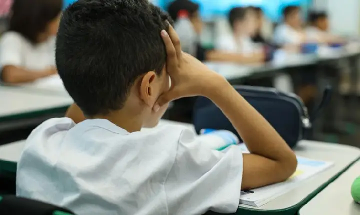 Educação hoje está cada vez mais no sujeito, diz orientadora
