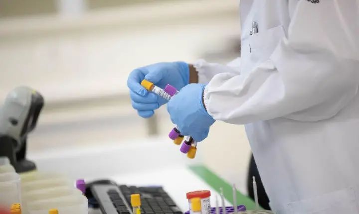 Estudo da Fiocruz associa rápida disseminação de variantes do Covid a relatos de reinfecção