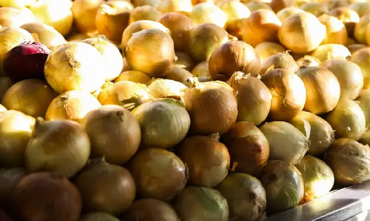 Inflação acumulada dos alimentos é a menor desde setembro de 2024