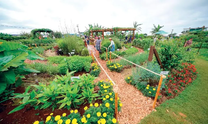 MAPA: Grupo de trabalho vai elaborar agenda para agricultura sustentável
