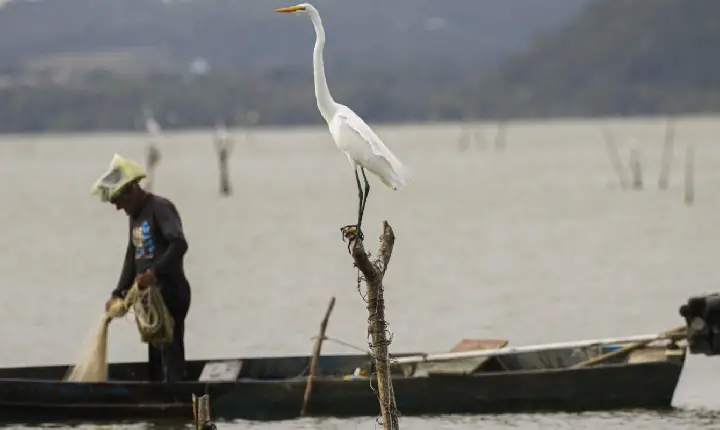 Mudanças aprovadas para o seguro-defeso previnem fraudes, diz relator