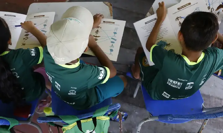 Prazo para contestar resultado do Selo Alfabetização termina hoje