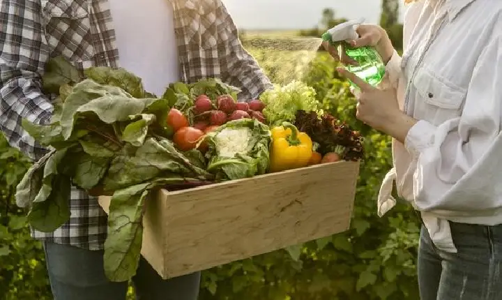 Programa Agro Fraterno estimula doações para combater a fome no Brasil