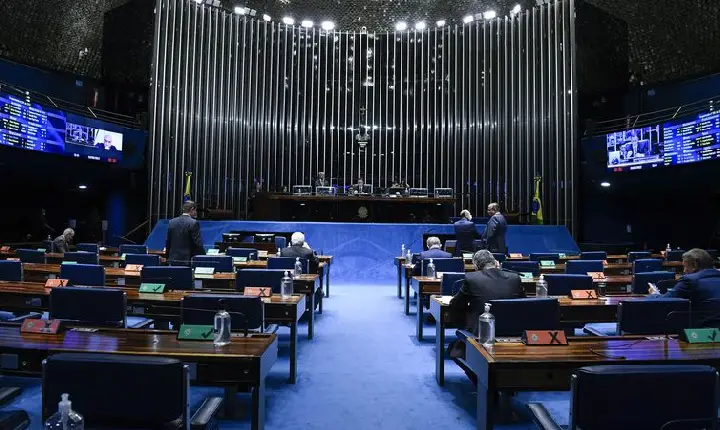 Senado aprova legislação para cães de apoio emocional