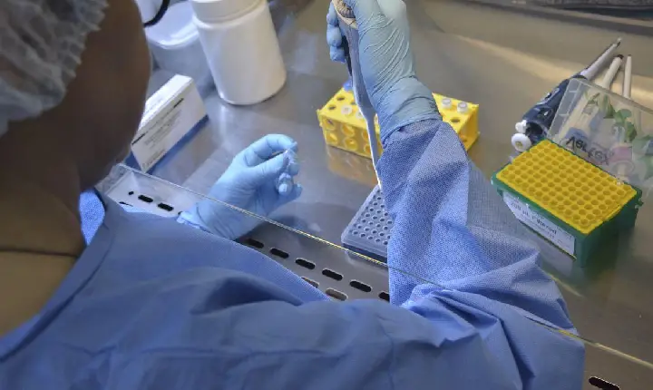 Vacinas contra a Covid-19 serão produzidas pela indústria veterinária
