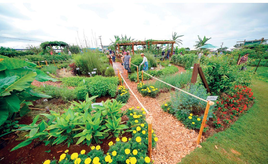 MAPA: Grupo de trabalho vai elaborar agenda para agricultura sustentável