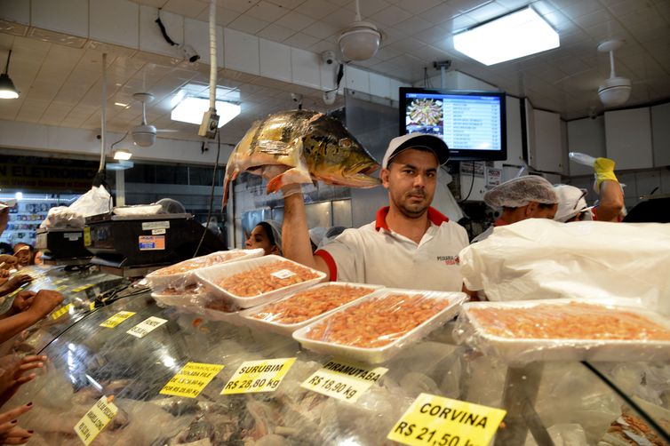 Peixes em seis estados da Amazônia têm contaminação por mercúrio 