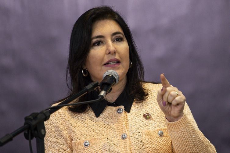Revisão da meta será avaliada no momento certo, afirma Tebet