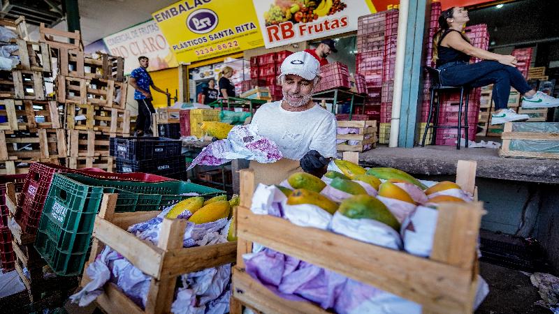 Conab registra queda de preços de frutas e hortaliças em dezembro