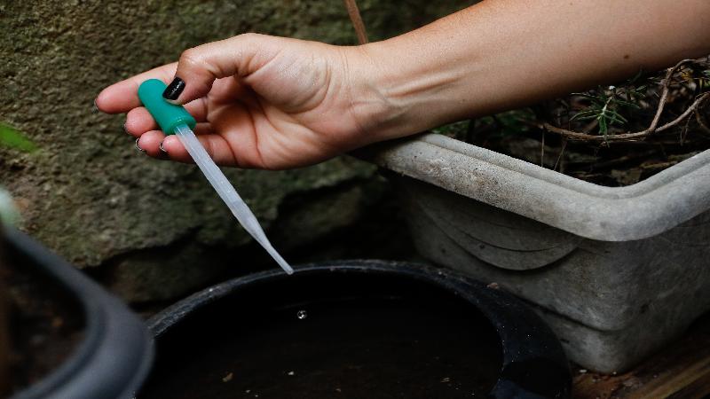 Distribuição da vacina contra a dengue começa na próxima semana