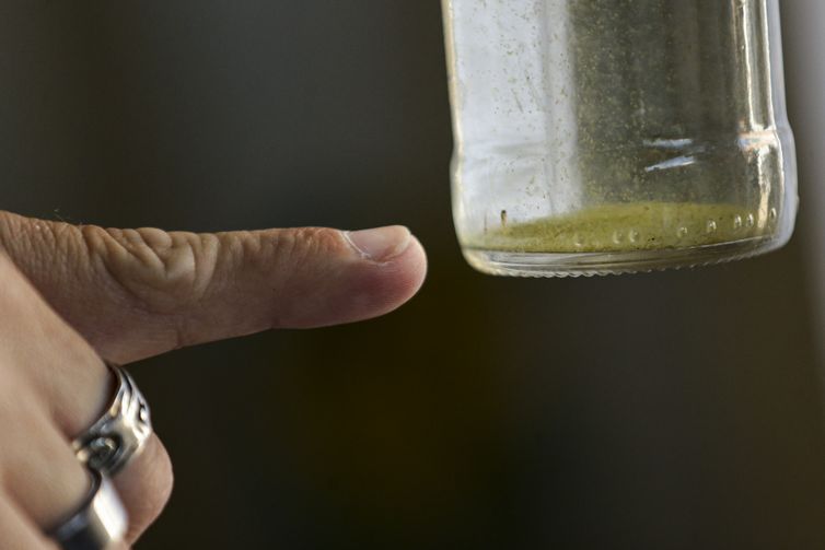Chega a 27 o número de mortes por dengue no estado de SP