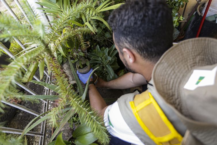 Dia D: secretarias de saúde promovem ações de combate à dengue