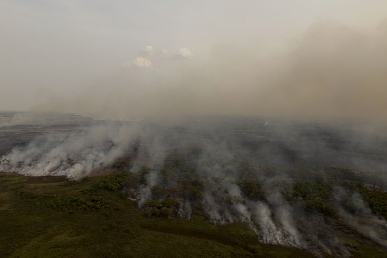 PL que muda Código Florestal vai desproteger 48 milhões de hectares 
